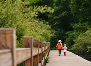 Une femme et sa fille traversent un pont dans la forêt